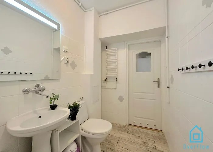 Plaza Проживание в семье