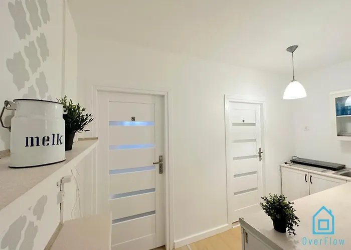 Проживание в семье Plaza *