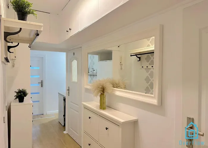 Проживание в семье Plaza