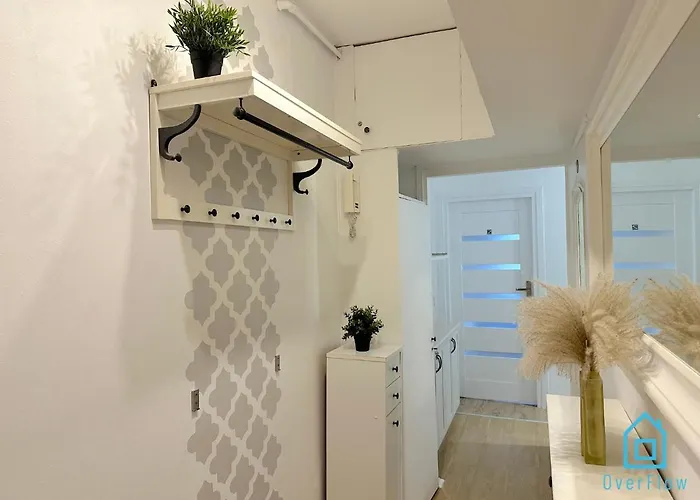 Plaza Проживание в семье